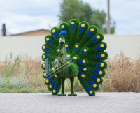 Топиар фигура Павлин Нэо синий