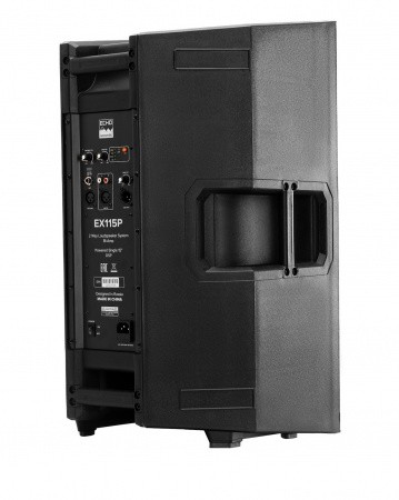 Echo Acoustic EX115P – №2