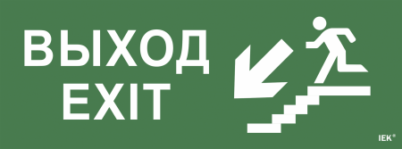 Самоклеющая этикетка 350х130мм \"Выход/лестница вниз/фигура\" IEK – №1